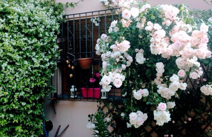 Appartamento La terrazza di Dora Menaggio Esterno foto